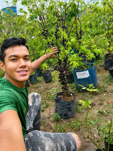 Jabuticaba com frutos (entrega na sua casa,paga na hora da entrega)