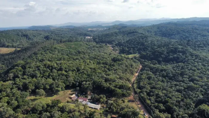 Chácara 24.700m2 a 5 km do Centro de Bocaiuva do Sul