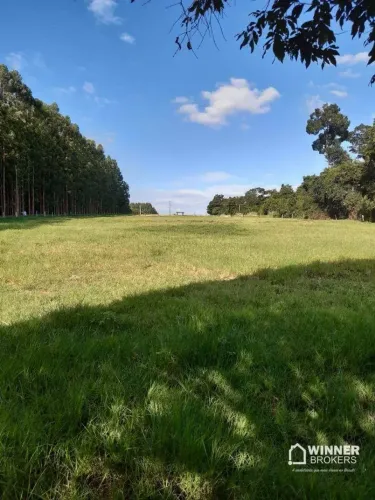 Chácara à venda, 2000 m² por R$ 130.000,00 - Gleba Ribeirão Jangada - Perobal/PR