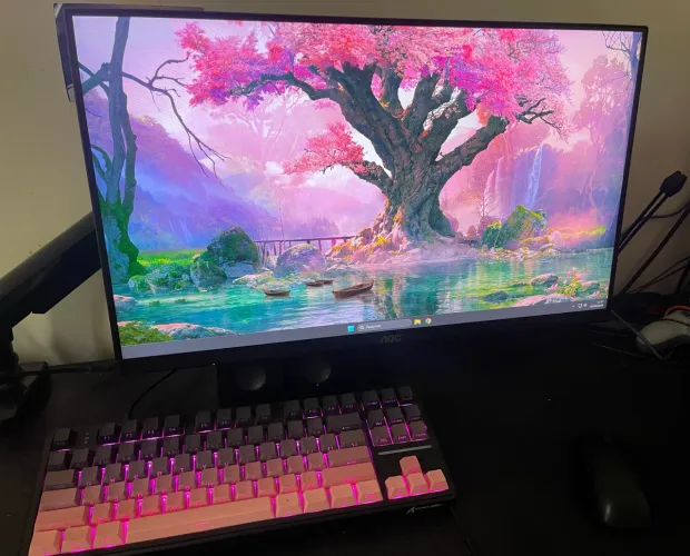 Monitor AOC 100hz