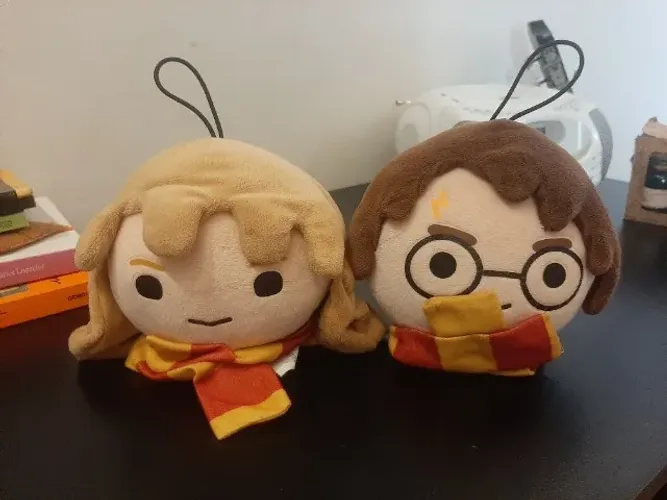 Harry Potter e Hermione Imaginarium