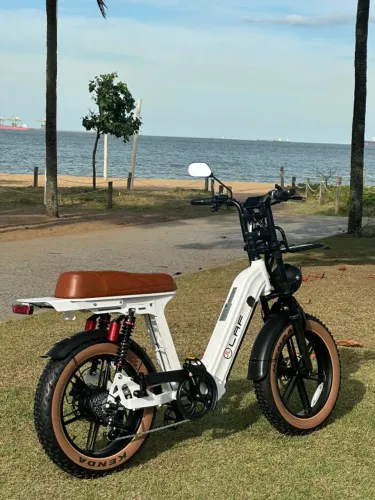 Bike elétrica Confort - LAF