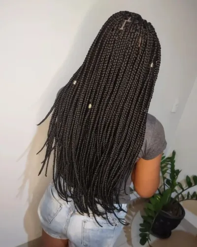 Box braids 
