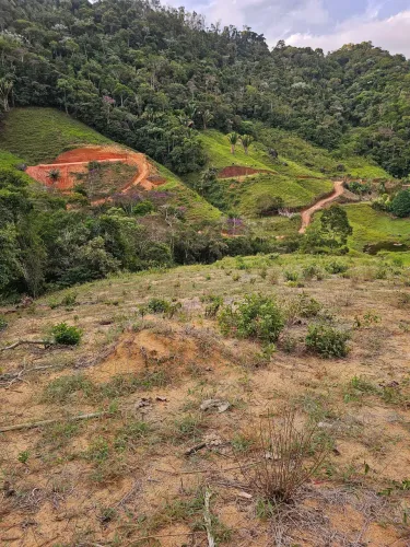 Chácara em Domingos Martins 3 hectares R$95.000,00