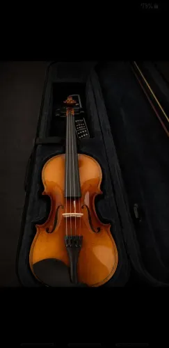 Violino