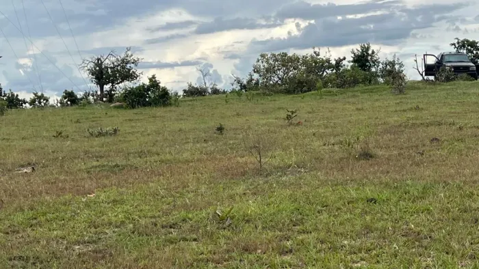 Fazenda há 16 Km de Caiapônia .GO