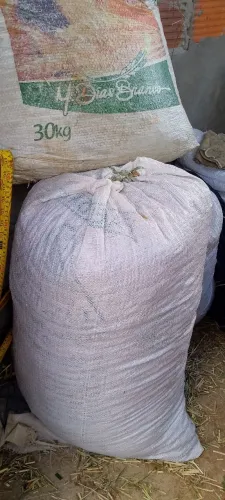 Esterco de Cabra ?