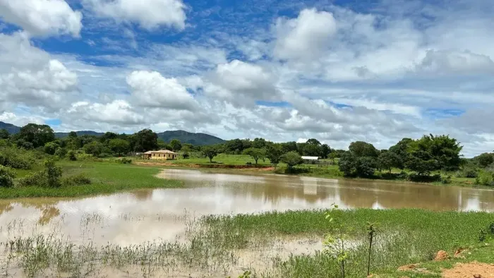 Fazenda a venda em Goiás Velho - GO