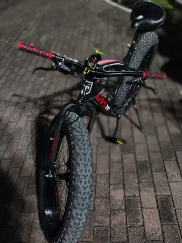Fat bike