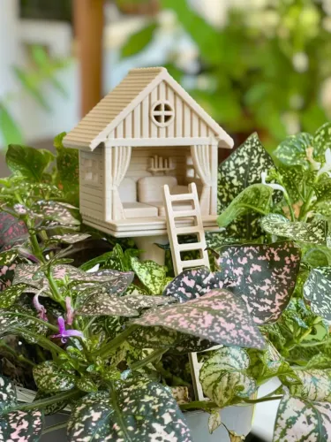 Mini casa