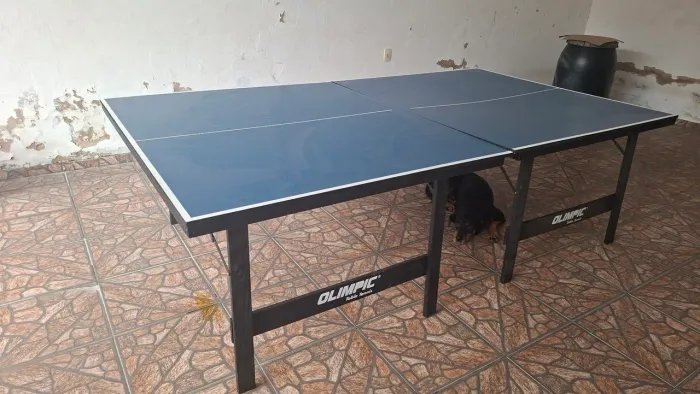 Mesa de ping-pong 274m × 152m x 076m