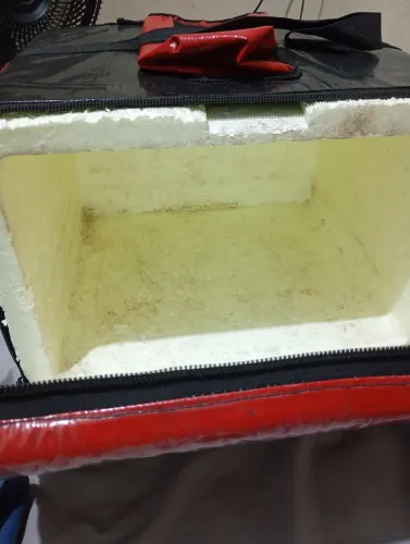 Bag de entregando