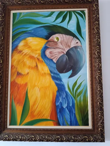 vendo quadro arara