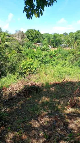 Terreno no entrocamento entre Mar grande e bom despacho, lugar tranquilo e arejado.