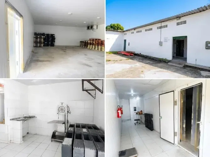 Galpão com 3 Câmaras Frias e Escritório na Av. Liberdade Bayeux