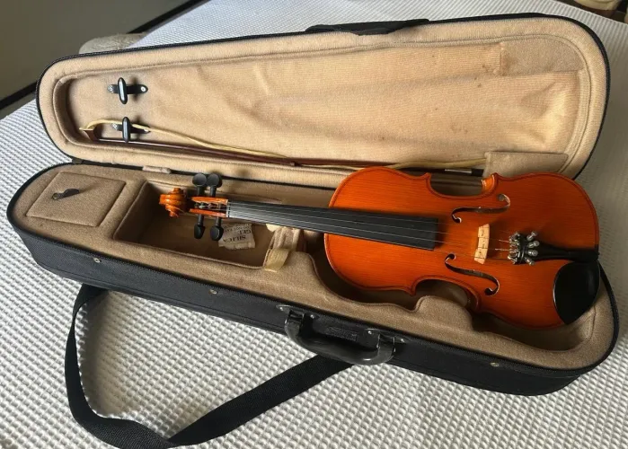 Violino Giannini AXL-15 VN 1/2