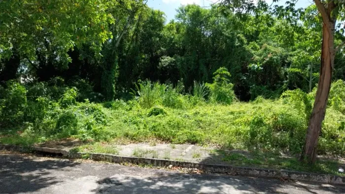 2 Terrenos em Apipucos | Condomínio Fechado | Área Nobríssima | Residencial