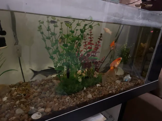 Vendo um arqueiro completo 120 litros 