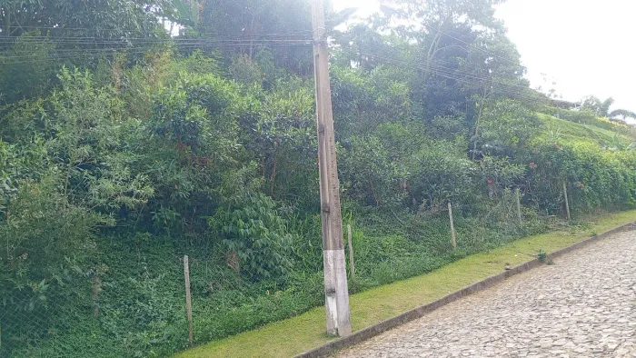 ? LIMPEZA DE LOTES E TERRENOS EM JUÍZ DE FORA ?