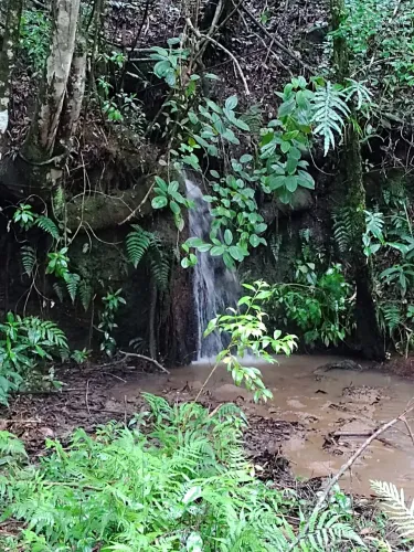 Fazenda à venda na Fazenda Serra das Flores, Olaria, Olaria - MG