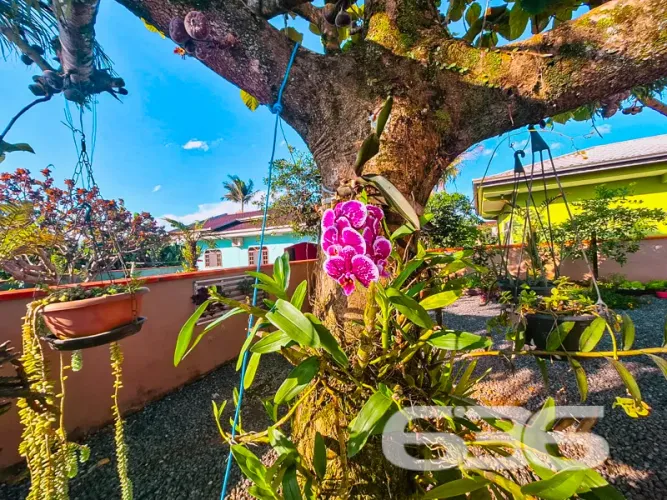 Casa | Joinville | João Costa