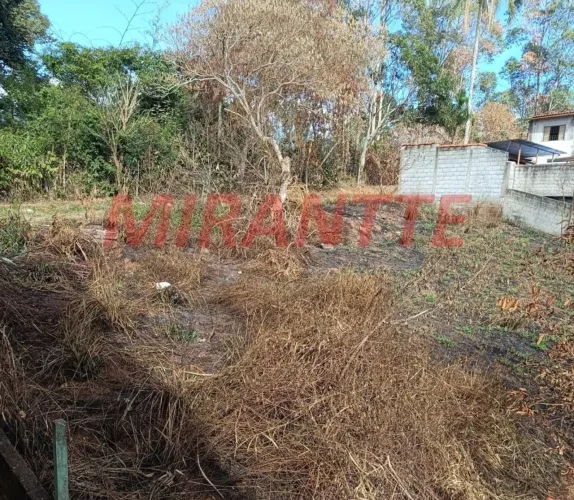 Terreno em Mato Dentro