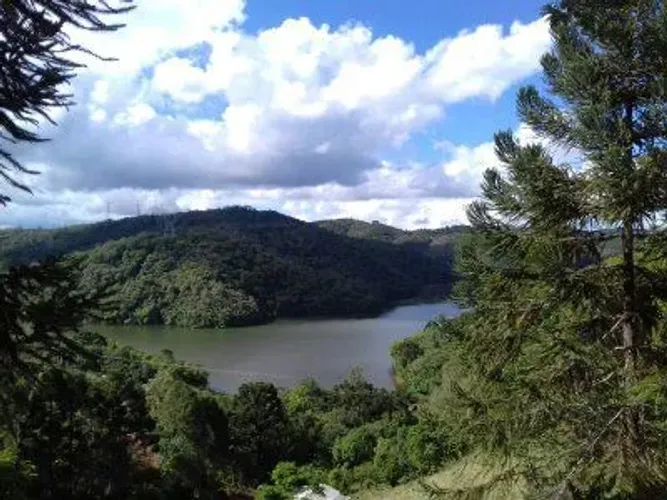 Sítio Rio Branco do Sul