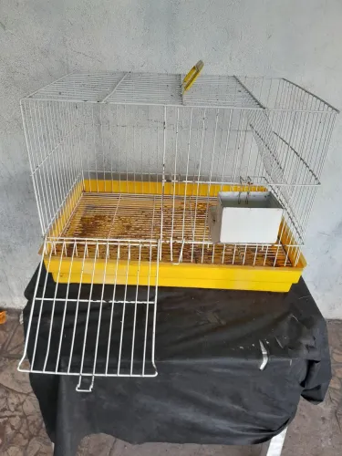 Gaiola