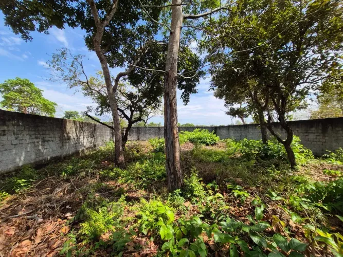 VENDO TERRENO COM PREÇO DE OPORTUNIDADE