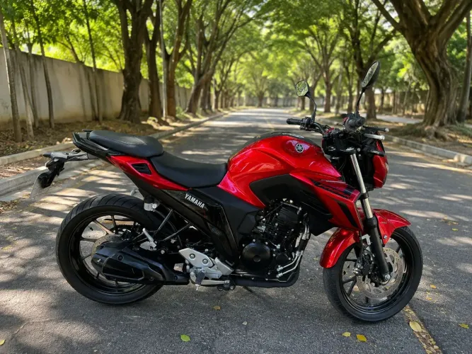 Moto Fazer250 25/25