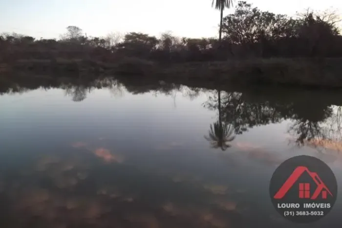 Chácara de 1.000m² plantada de arvores frutíferas, em frente a uma reserva ecológica.
