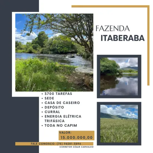 FAZENDA EM ITABERABA - 3700 TAREFAS