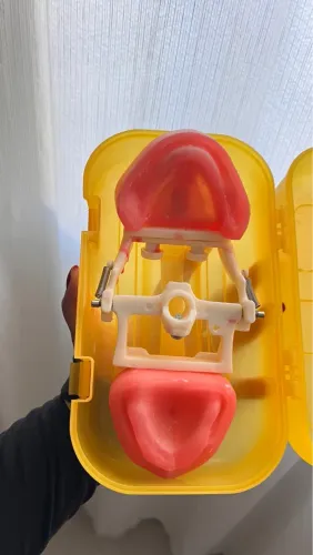 Manequim de Prótese Dental Pronew - Pronto para Uso