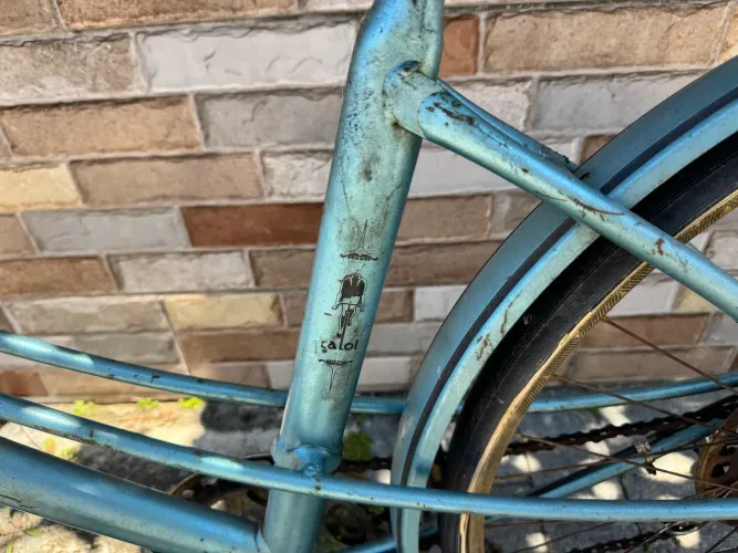 Bicicleta caloi ceci