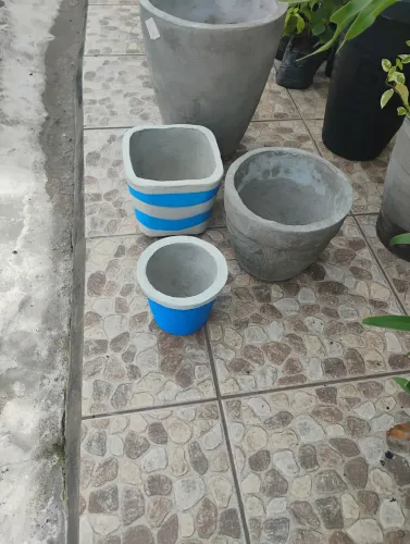 Vendo plantas. Ornamental e frutíferas. Vasos e adubos 