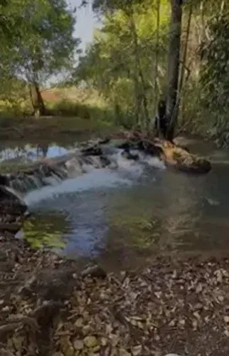  Chácara Luxuosa próximo a Anápolis 