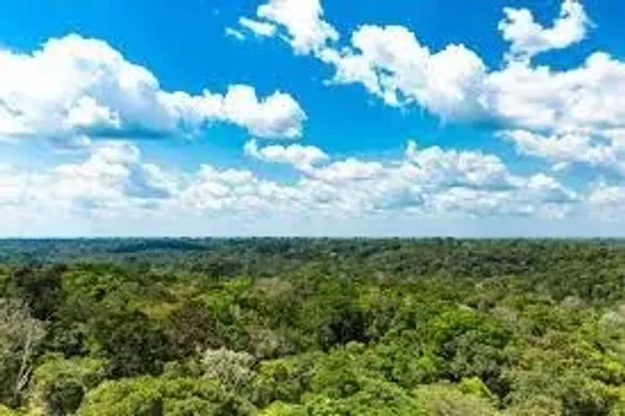 Área de 21.000 hectares em Coari Am 2.500.000