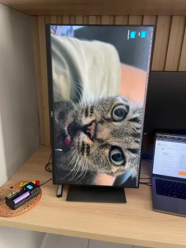 "monitores de 27 polegadas" - Monitores no Brasil