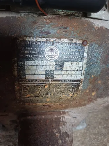 Motor Elétrico: Borges de Figueiredo - Bufalo - 1,5HP