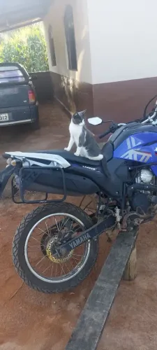 Lander 250