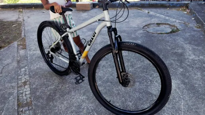 Bicicleta aro 29