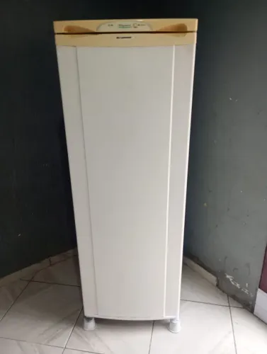 Vendo geladeira continental degelo 290 litros funcionando perfeitamente valor 580 reais.