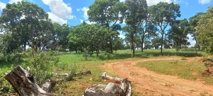 FAZENDINHAS COM TERRA ROXA FINANCIADAS c entrada em 24x=R$2.206,00 mais parcelas