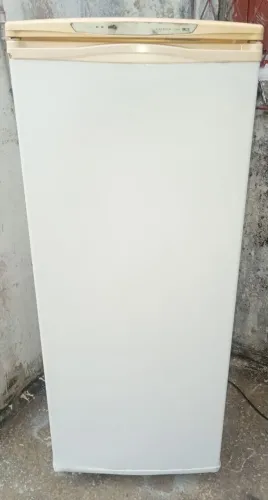 Freezer vertical 250L