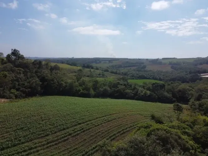 Sítio 8 Alqueires, Rica em Água com Lagos, Nascentes e Ribeirão, 6 Alqueires para Agricult