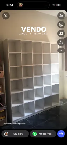 Colmeia organizadora 
