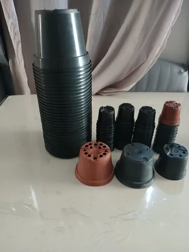 Kit de vasos de plantas rosa do deserto