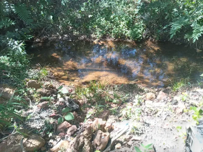 Fazenda/Sítio/Chácara para venda tem 40000 metros quadrados em Santa Maria - Brasília - DF