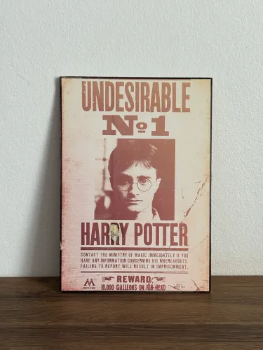 Quadro de MDF Harry Potter Decoração 