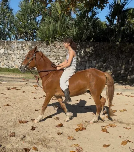 Vendo cavalo de vaquejada